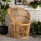 Baxton Studio Narva Modern Bohemian Natural Brown Rattan Accent Chair 211-12766-ZORO - alternate 1